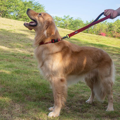 Traffic Nylon 18-Inch Short Leash with Soft Neoprene Padded Handle for Large and Giant Dogs - Ideal for Training and Daily Walks (Red)