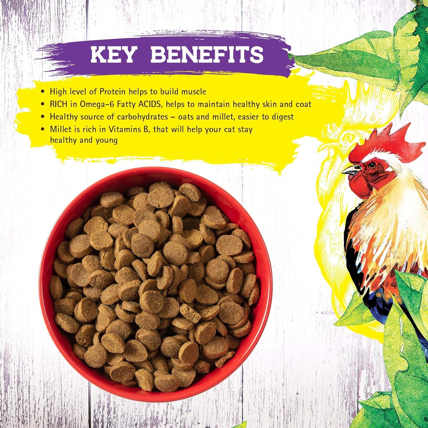 Dry Cat Food with Chicken Recipe – Complete and Balanced Formula – Meat-First, Legume-Free – 4 lb Bag