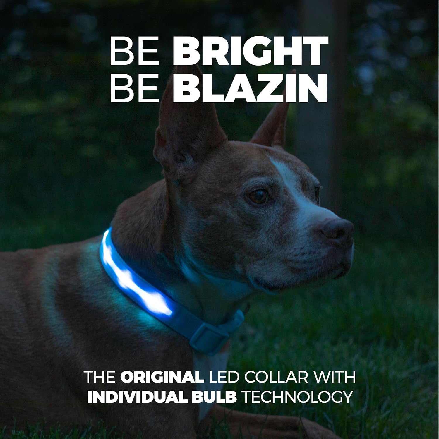 LED Dog Collar - Original USB Rechargeable and Waterproof Design - 1,000 Feet Visibility - Suitable for Small, Medium, and Large Dogs - Made in the USA