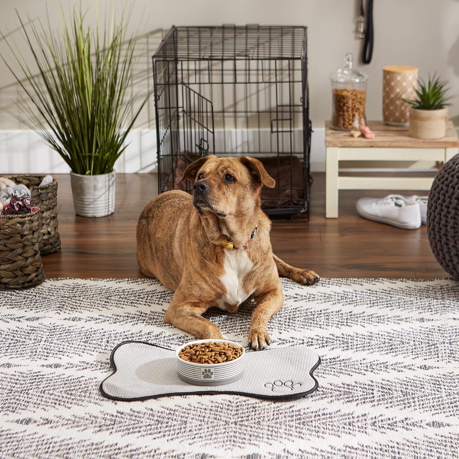 Paw & Patch Ceramic Pet Collection, Medium Bowl, 6X2", Gray