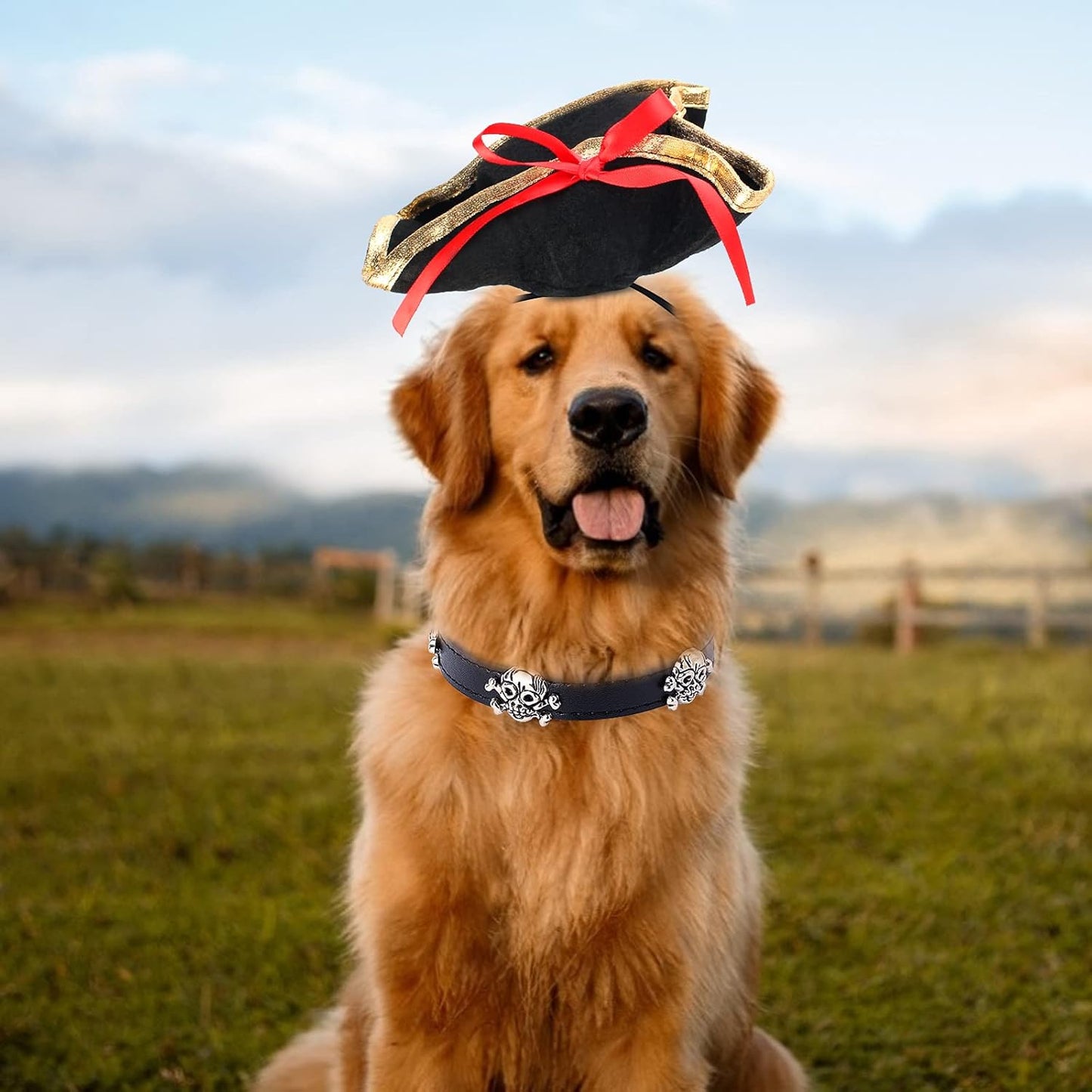 Pet Pirate Hat and Skull-Studded Leather Collar Set for Cats and Dogs - Halloween Costume Accessories