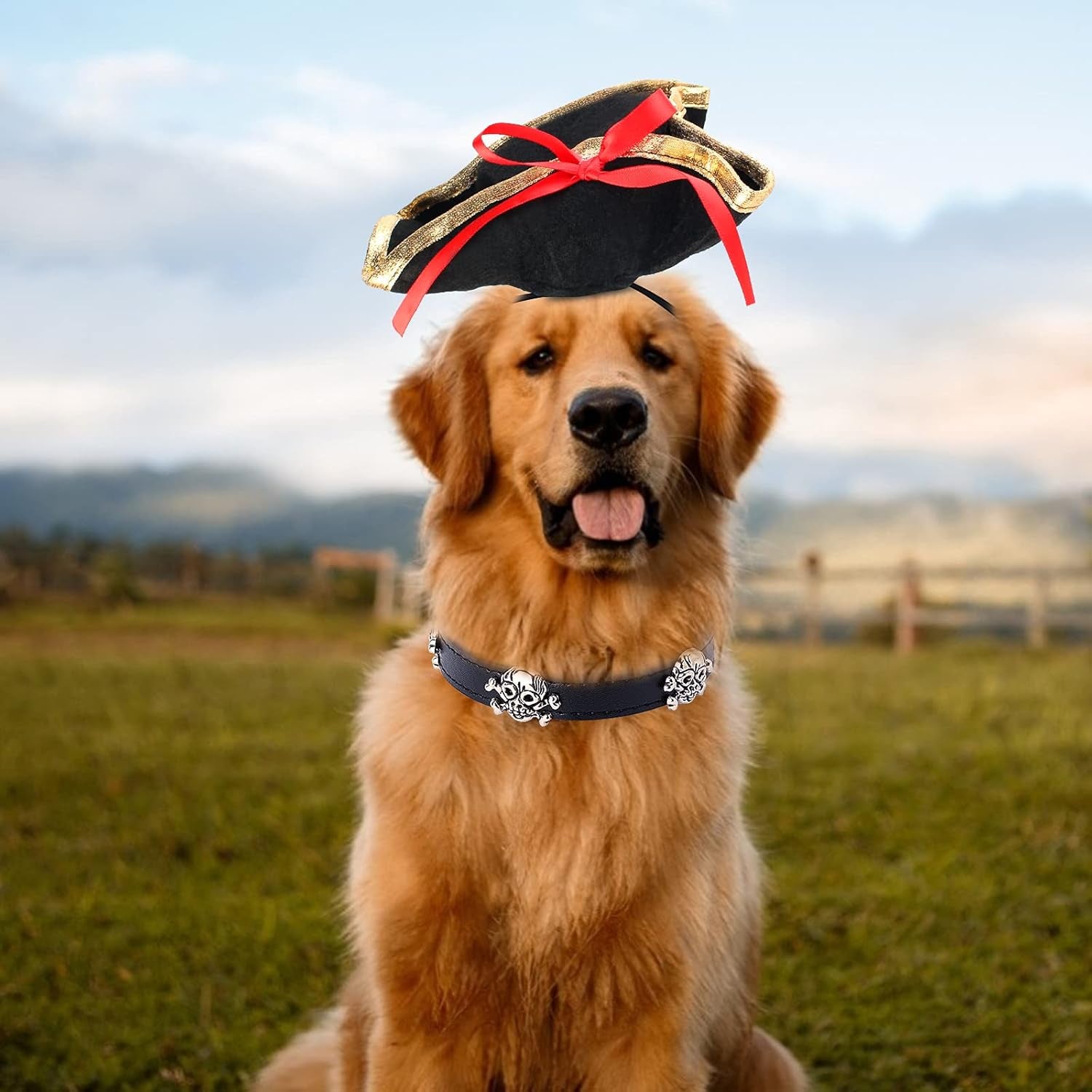 Pet Pirate Hat and Skull-Studded Leather Collar Set for Cats and Dogs - Halloween Costume Accessories