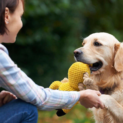 Squeaky Dog Chew Toy with Crinkle Paper - Durable Stuffed and Rope Toys for Teeth Cleaning, Ideal for Small to Medium Dogs