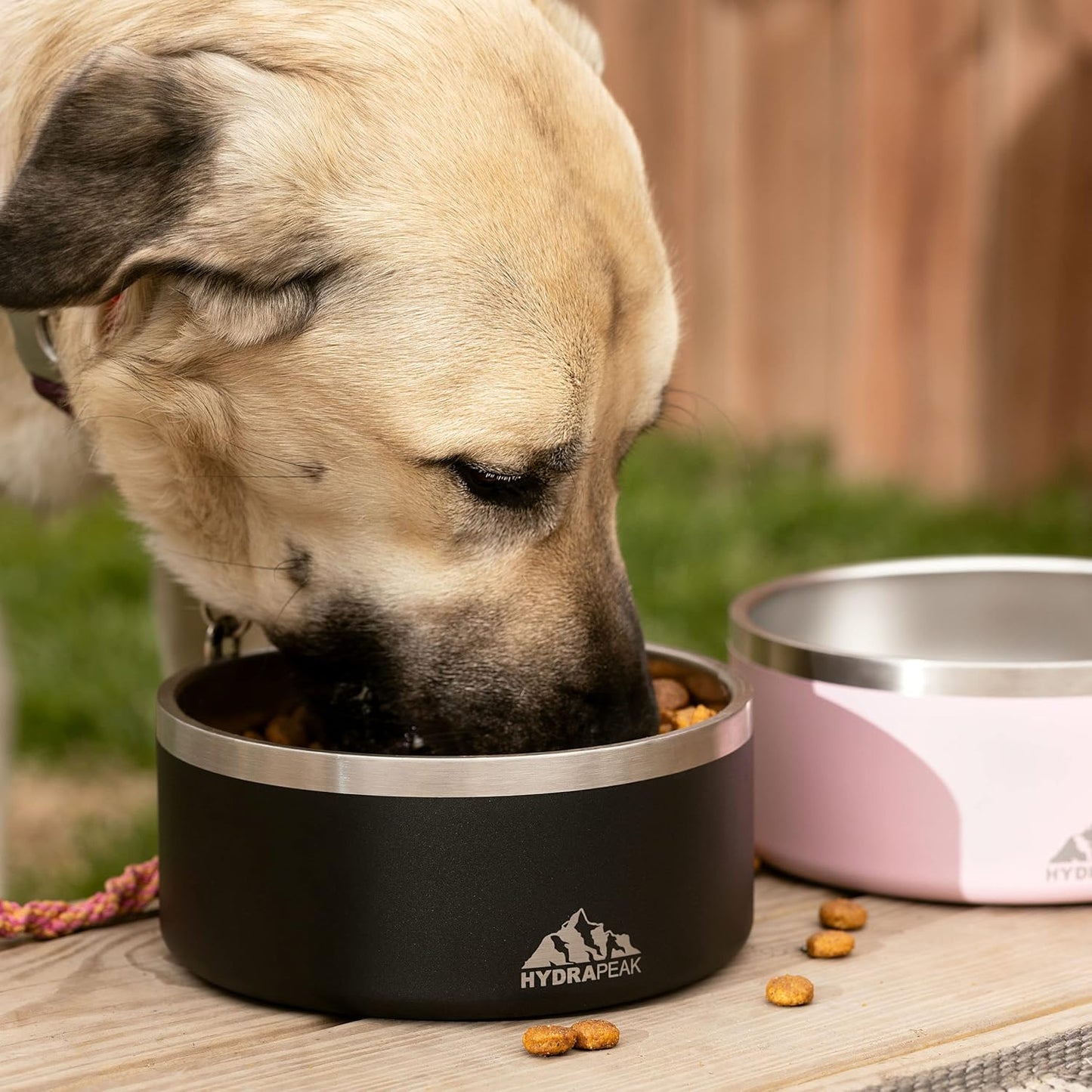 8 Cup Stainless Steel Dog Bowls for Water or Food - Cloud