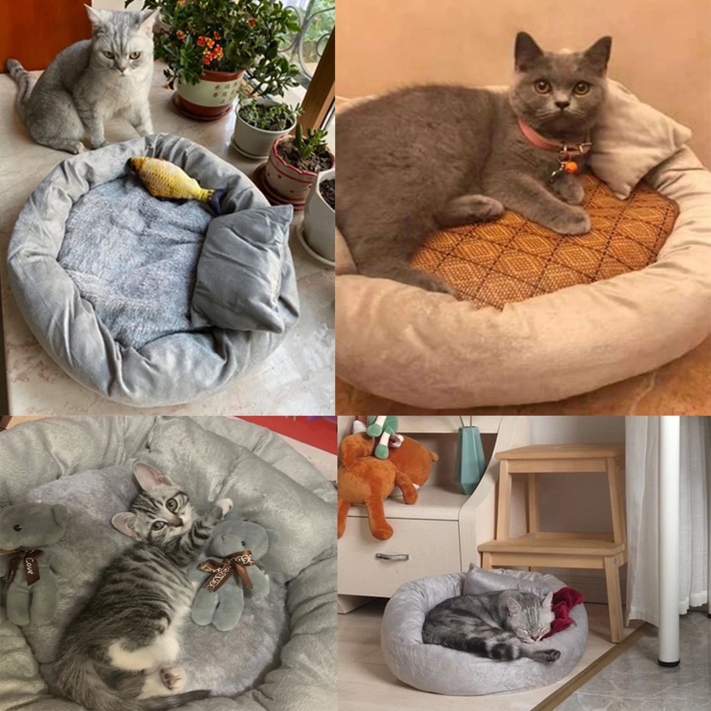 Calming Round Pet Bed with Pillow for Small Dogs and Indoor Cats