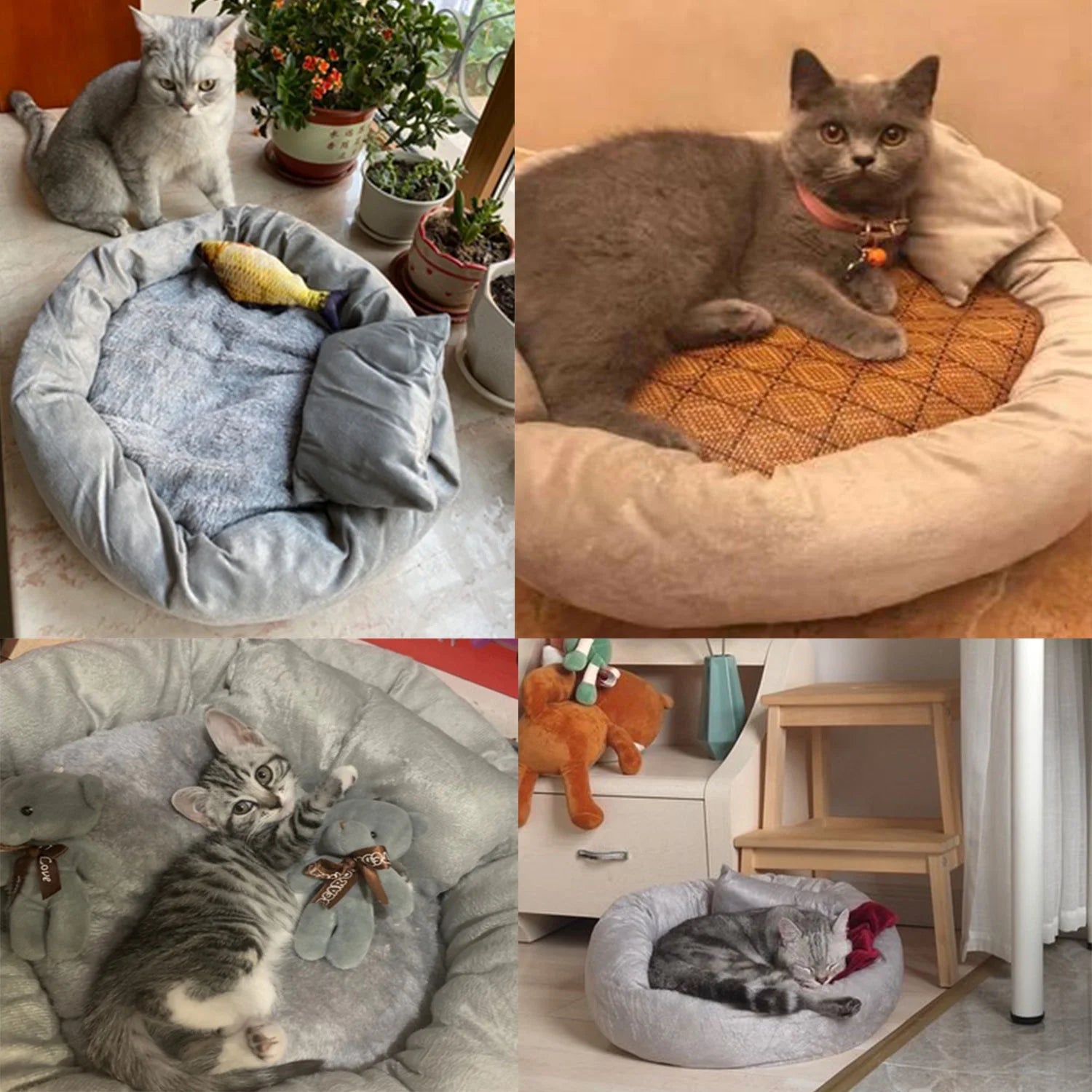 Calming Round Pet Bed with Pillow for Small Dogs and Indoor Cats