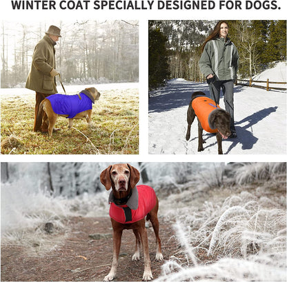 Cozy Red Winter Coat for Medium Dogs - Stylish Jacket & Sweater for Cold Weather Comfort