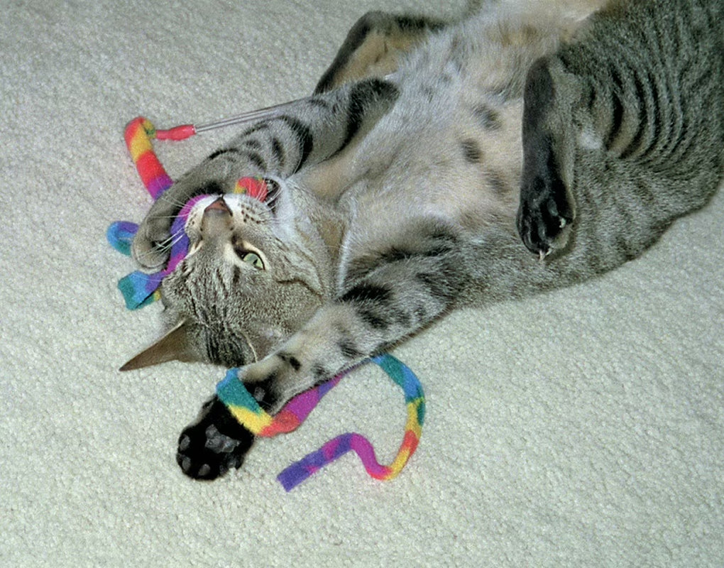 Interactive Cat Toy Wand - Rainbow Design