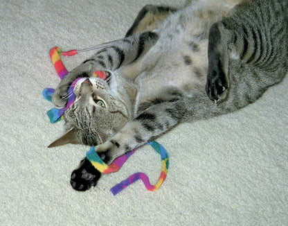 Interactive Cat Toy Wand - Rainbow Design