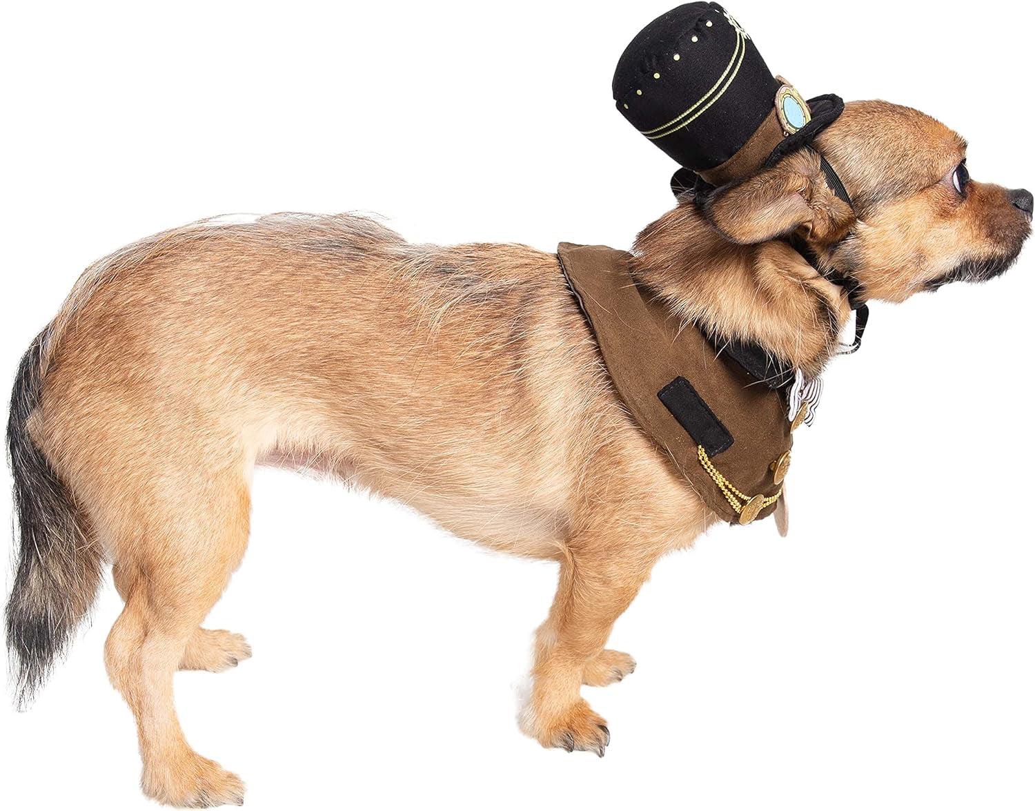 Steampunk-Inspired Costume Hat and Collar Set for Small Dogs and Cats - Perfect for Halloween, Christmas, Parties, Photoshoots, and Gifts for Pet Lovers