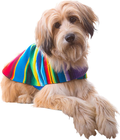 Stylish Handcrafted Dog Poncho - Authentic Mexican Blanket in Blue, XXS