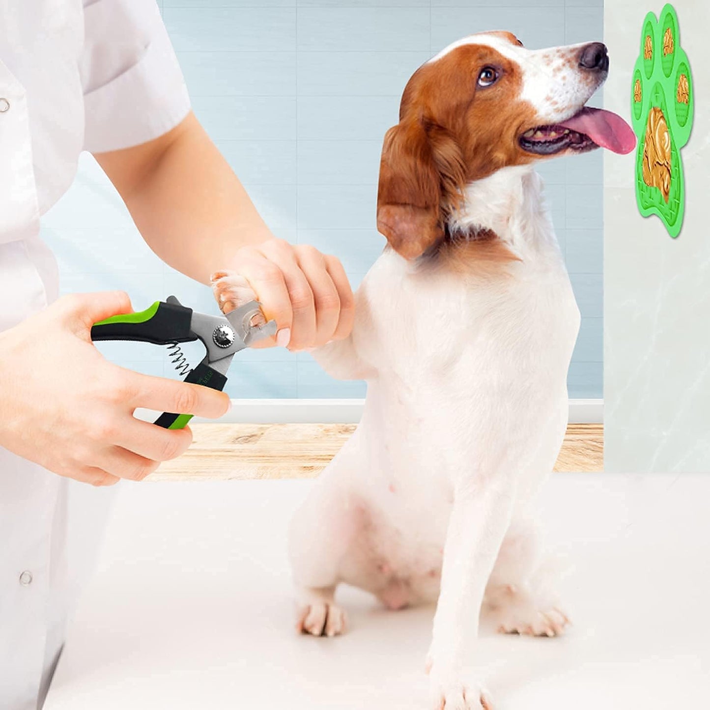 Superfunstuffs Professional Pet Nail Clippers and Trimmers with Nail File for Dogs and Cats - Grooming Tool for All Breeds, Green