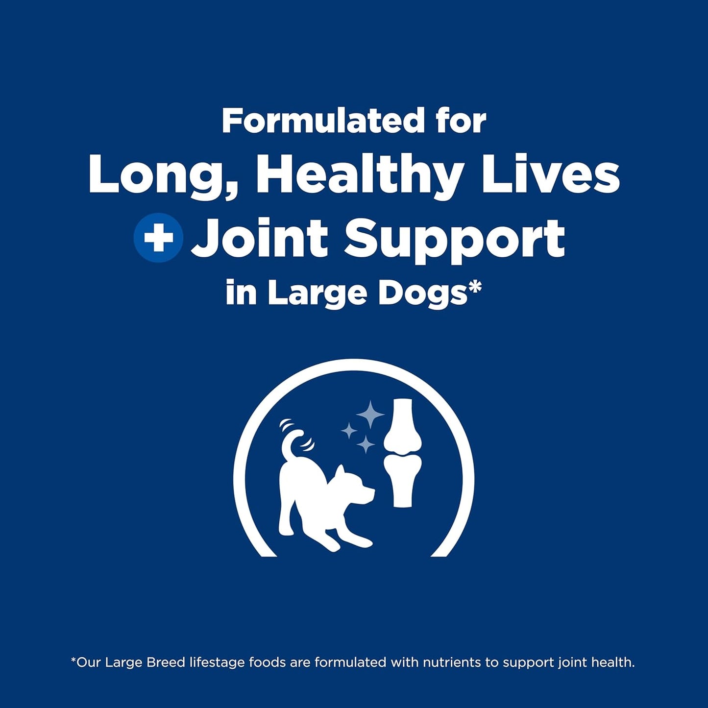 Large Breed Puppy Food, DHA to Support Healthy Development, Chicken & Brown Rice Dry Dog Food, 15.5 Lb. Bag