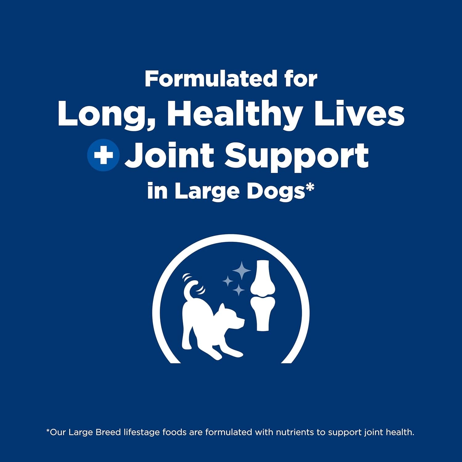 Large Breed Puppy Food, DHA to Support Healthy Development, Chicken & Brown Rice Dry Dog Food, 15.5 Lb. Bag
