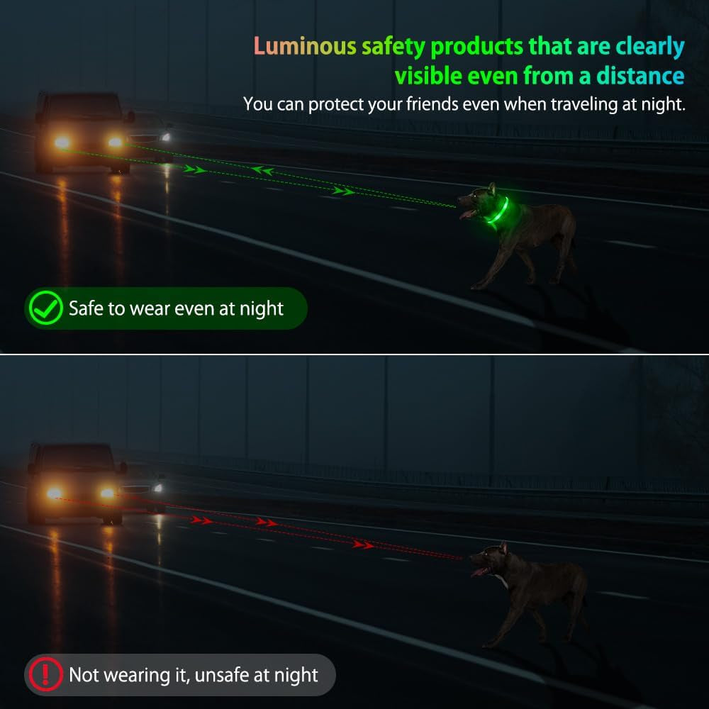 USB Rechargeable LED Dog Collar - High Visibility Glow in the Dark for Night Walking (Small, Fluorescent Green)
