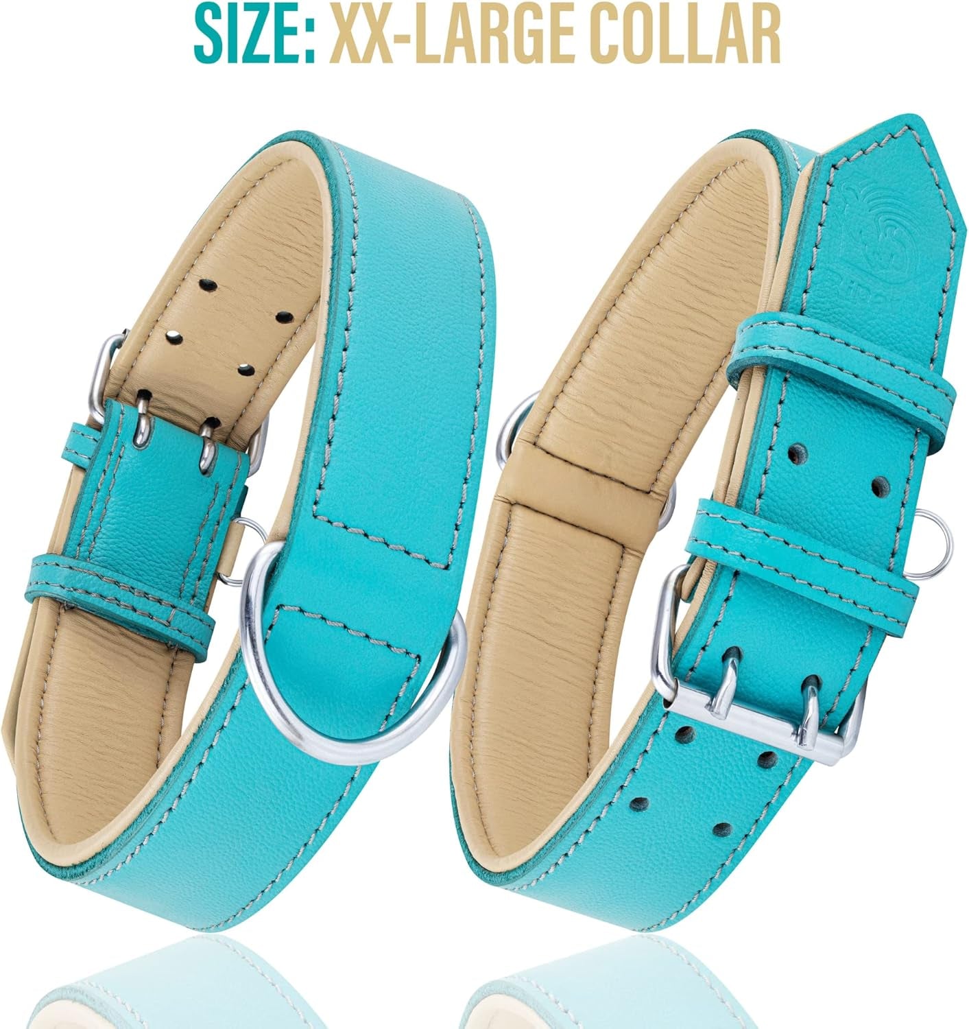 Riparo Genuine Leather Dog Collar for Medium Dogs, 1" Wide (Neck Size 13.5”-17.5”, Aqua)