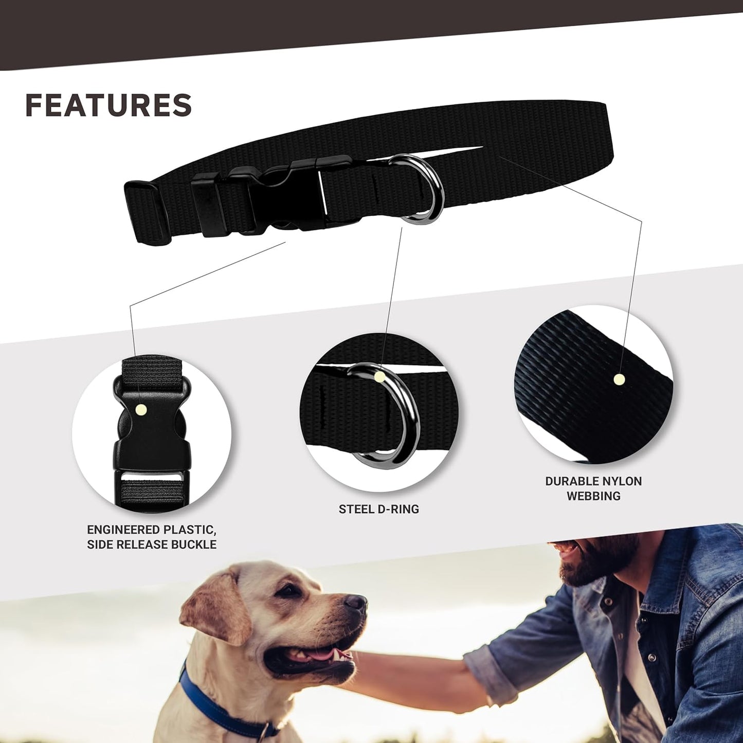 Waterproof Leopard Print Dog Collar - Adjustable 3/4 Inch Width, Fits Small Neck Sizes 8.5-12.5 Inches