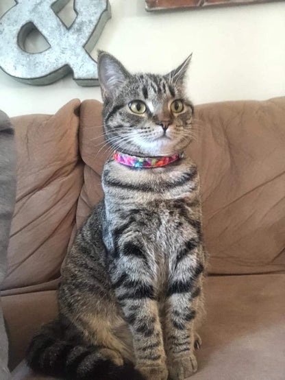 Kaleidoscope Diamond Pet Collars and Leashes for Cats and Dogs - Available in XXS, Small, Medium, and Large Sizes