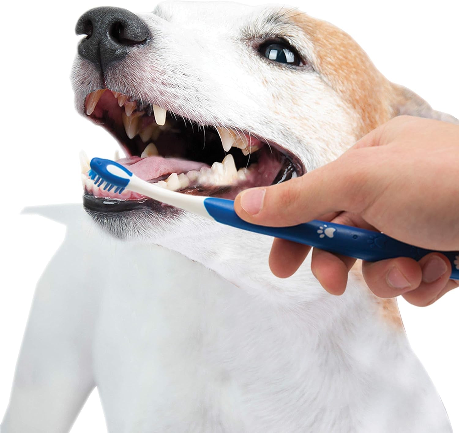 Advanced Oral Care Puppy Dental Kit - Original 3 Count