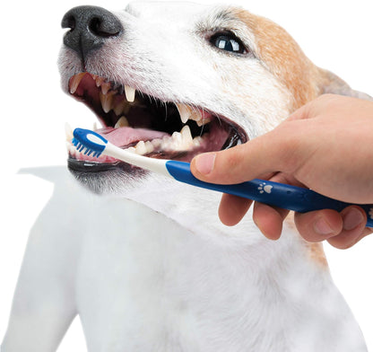 Advanced Oral Care Puppy Dental Kit - Original 3 Count