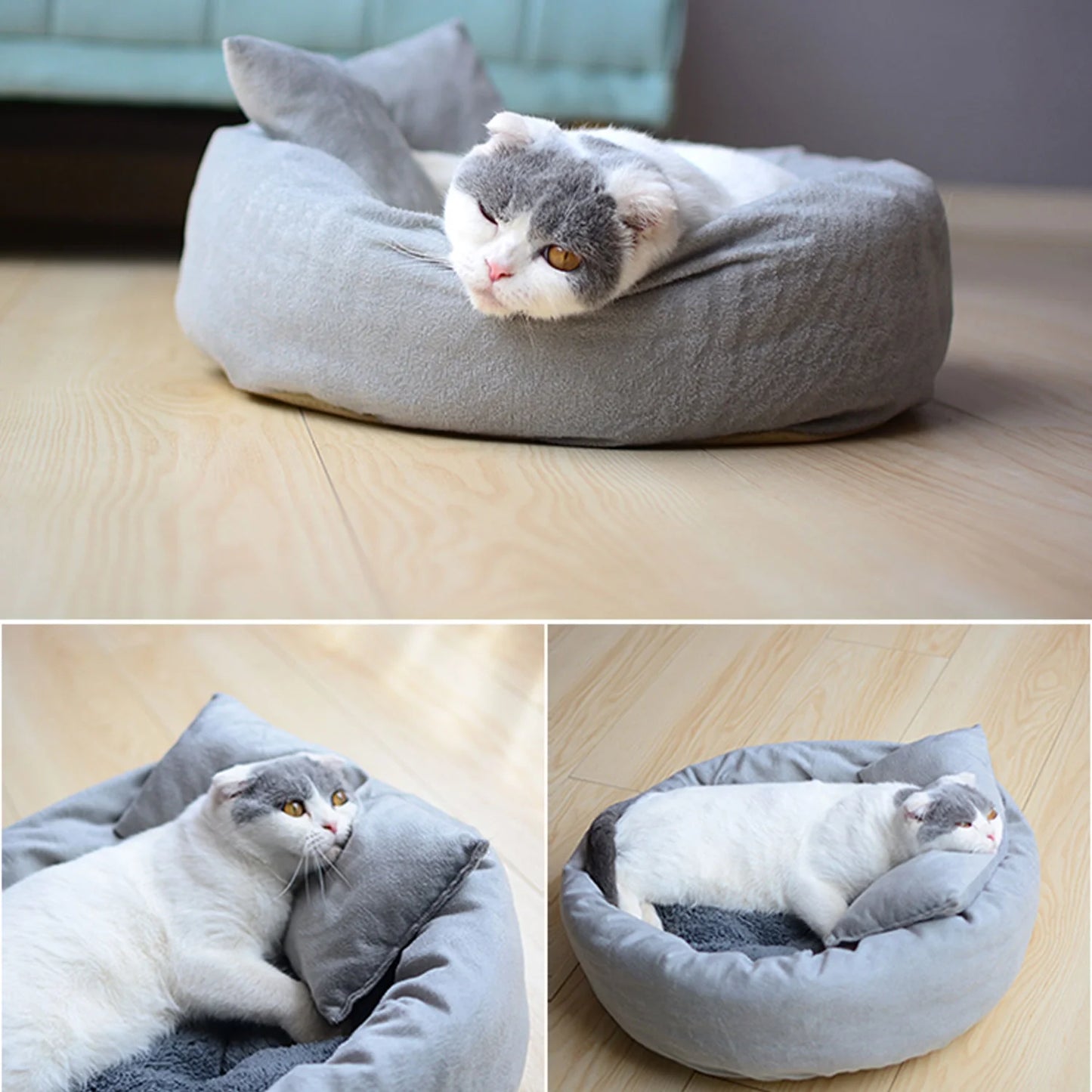 Calming Round Pet Bed with Pillow for Small Dogs and Indoor Cats