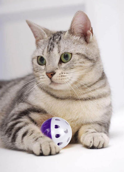 6-Piece Interactive Cat Toy Set with Bell Balls for Kittens and Cats