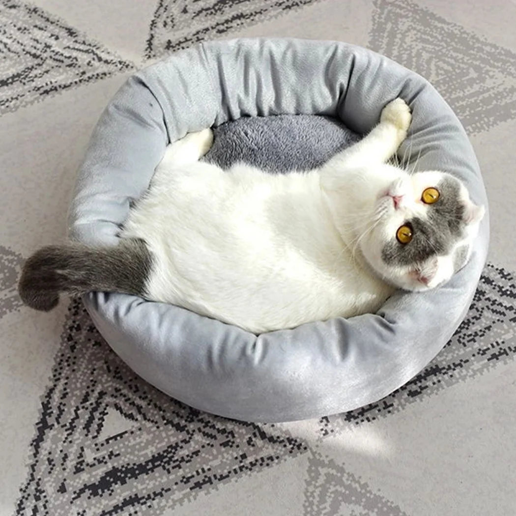 Calming Round Pet Bed with Pillow for Small Dogs and Indoor Cats