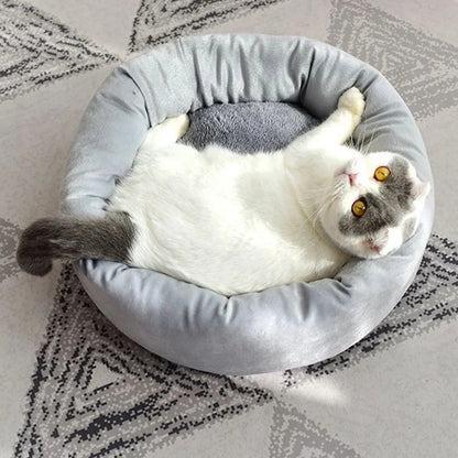 Calming Round Pet Bed with Pillow for Small Dogs and Indoor Cats