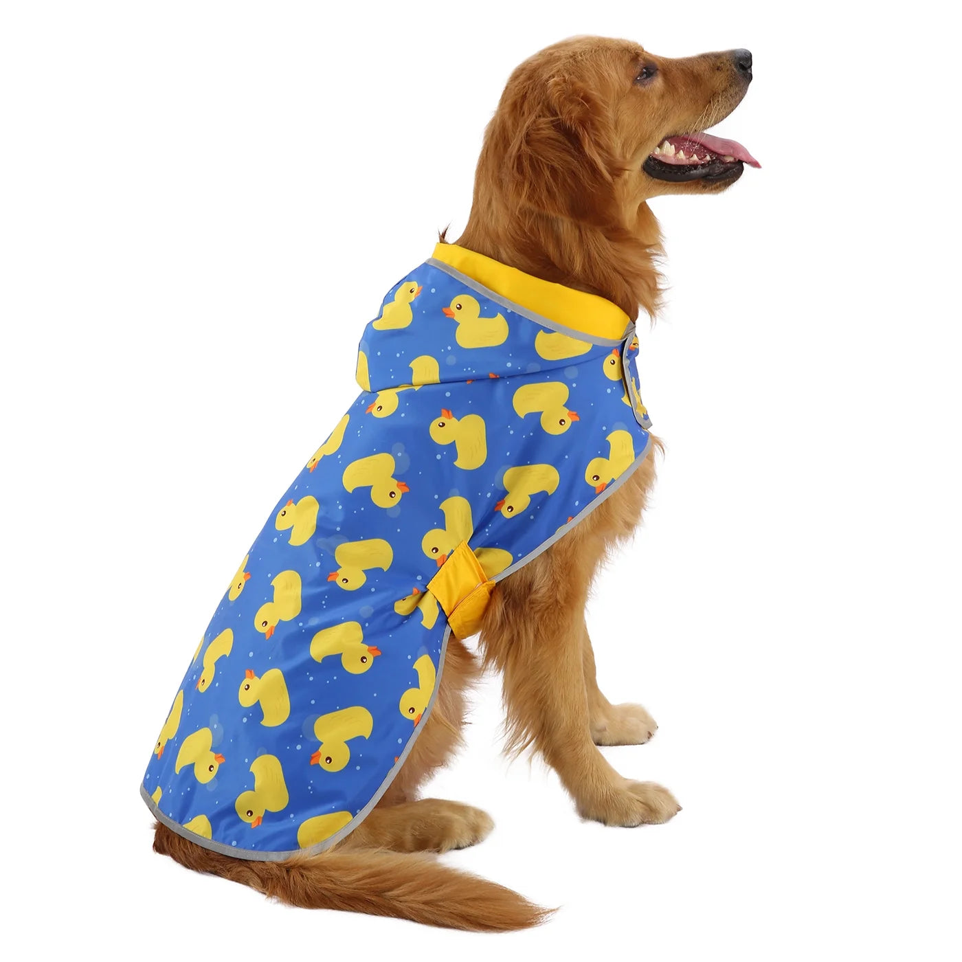 Reversible Waterproof Dog Raincoat with Hood - Yellow Duck/Floral Design, Available in Sizes XS to XXL