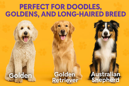 Poodle Pet Round Soft Bristle Grooming Brush for Dogs and Cats - Purple
