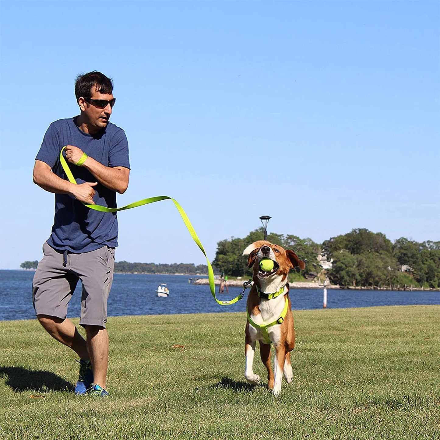 Adjustable Heavy-Duty Waterproof Dog Collar for Large Breeds with Quick-Release Buckle - Lush Green