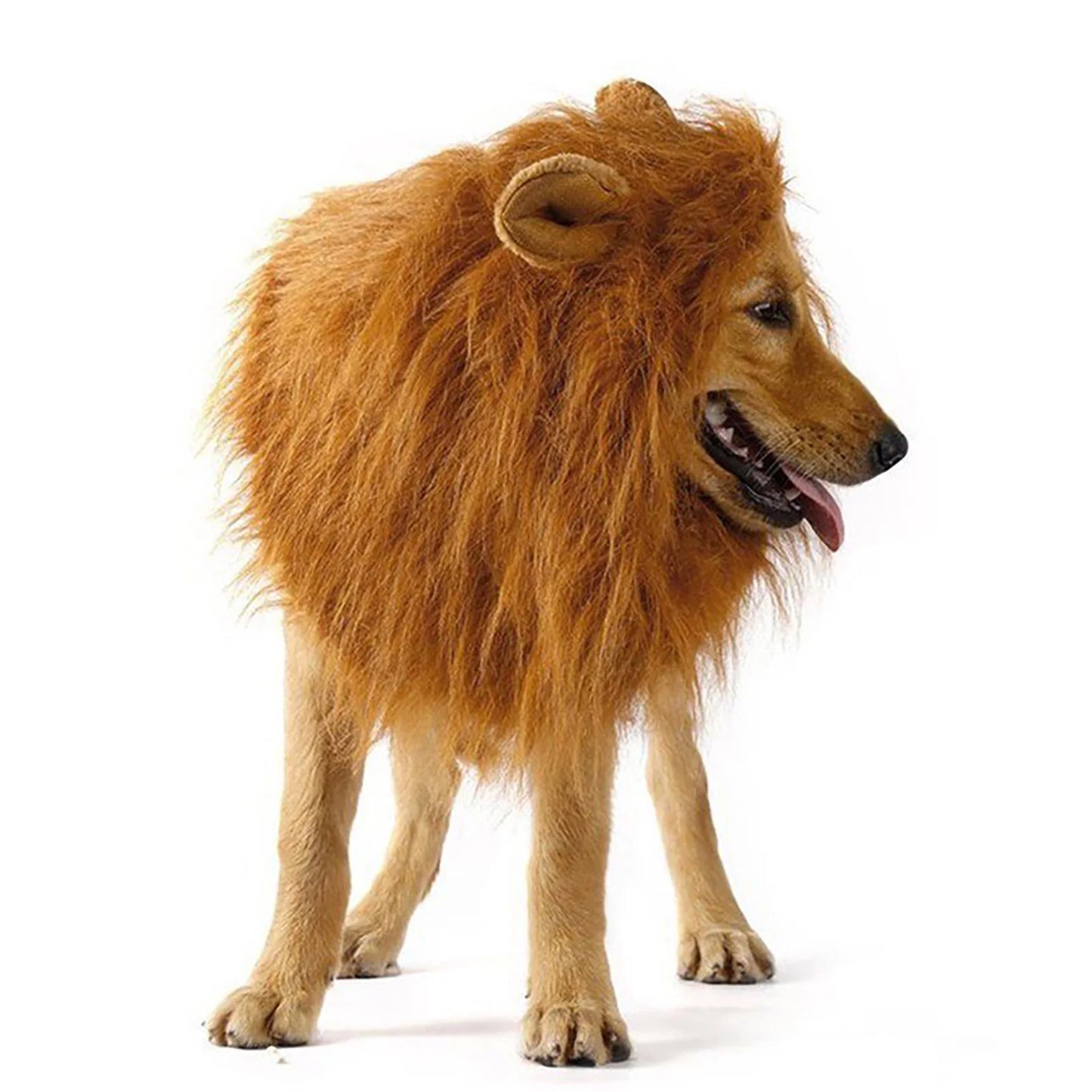 Majestic Lion Mane Cosplay Costume for Medium to Large Dogs - Complete with Ears!