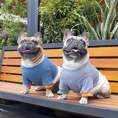 Stylish Grey and Yellow Color Block Crewneck Sweater for Dogs - Cozy Winter Pullover for English Bulldogs and Pitbulls, X-Large