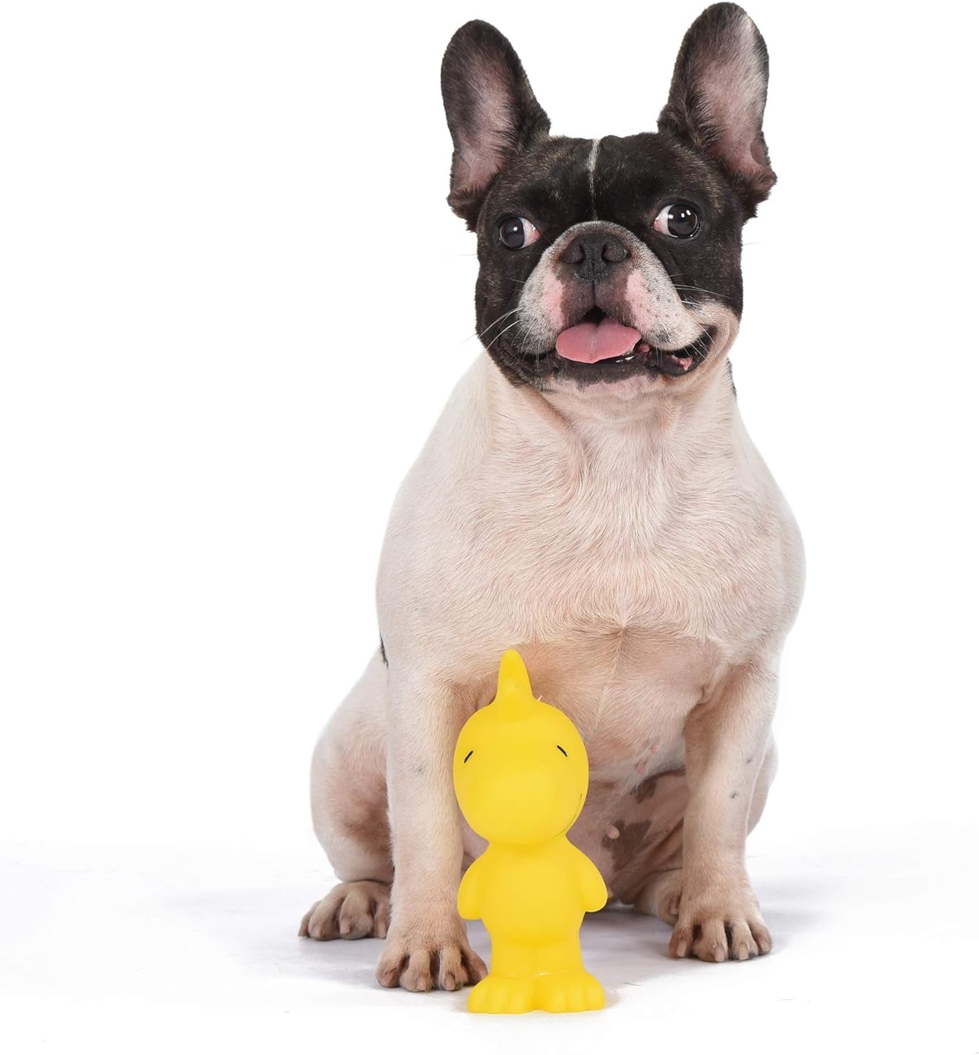 Charlie Brown Woodstock Vinyl Squeaker Dog Toy - Durable Squeaky Toy for All Breeds, Ideal for Aggressive Chewers, 5.5 Inches