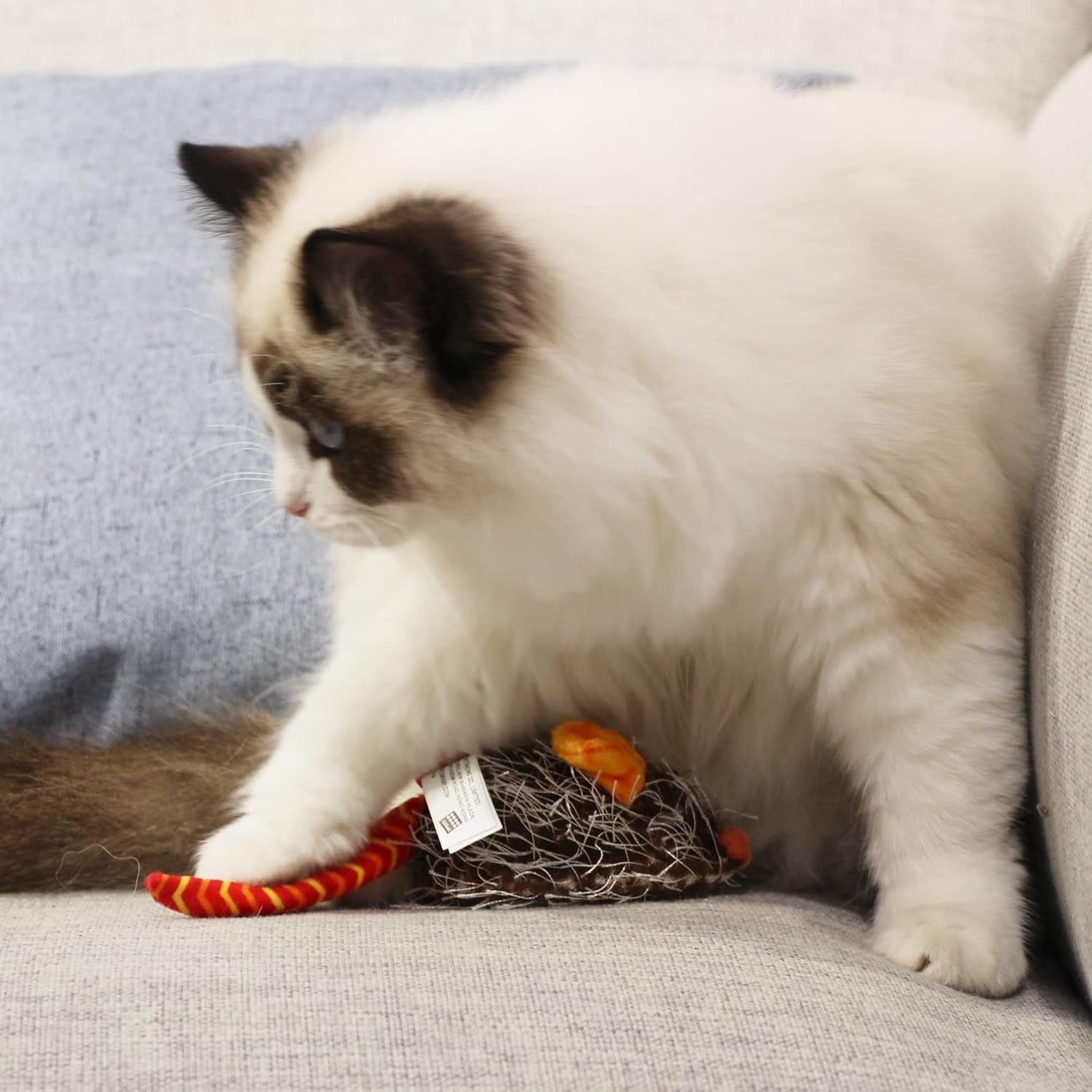 Interactive Indoor Cat Toys with Realistic Squeaky Sounds and Automatic Movement for Self-Play and Exercise (Orange Ear)