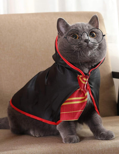 Adorable Anime Cat Halloween Costume for Small Dogs & Kittens - Wizard Outfit in Red (Size S)