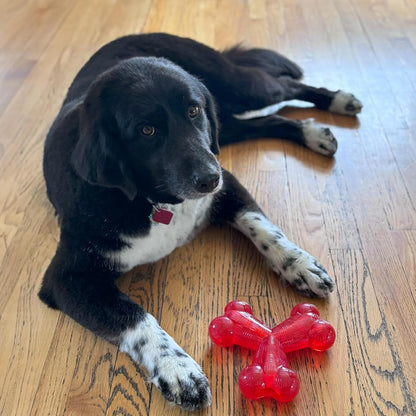 Play Strong Trident Bone Rubber Dog Toy - Y Shape, Durable Chew for Aggressive Chewers with Hollow Center for Treats, 6 Inch