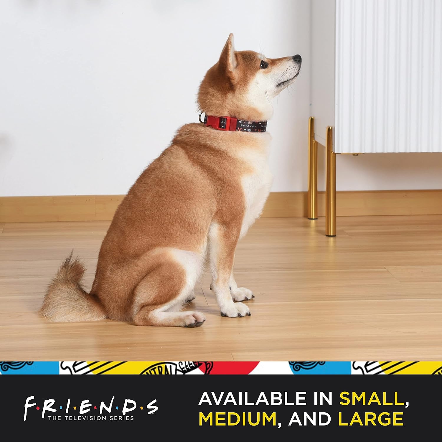 Stylish Black Dog Collar for Medium Breeds - Friends TV Show Merchandise with D-Ring