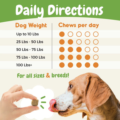 Dog Probiotics Chews for Digestive Health, Itchy Skin Relief, and Yeast Support - 120 Count
