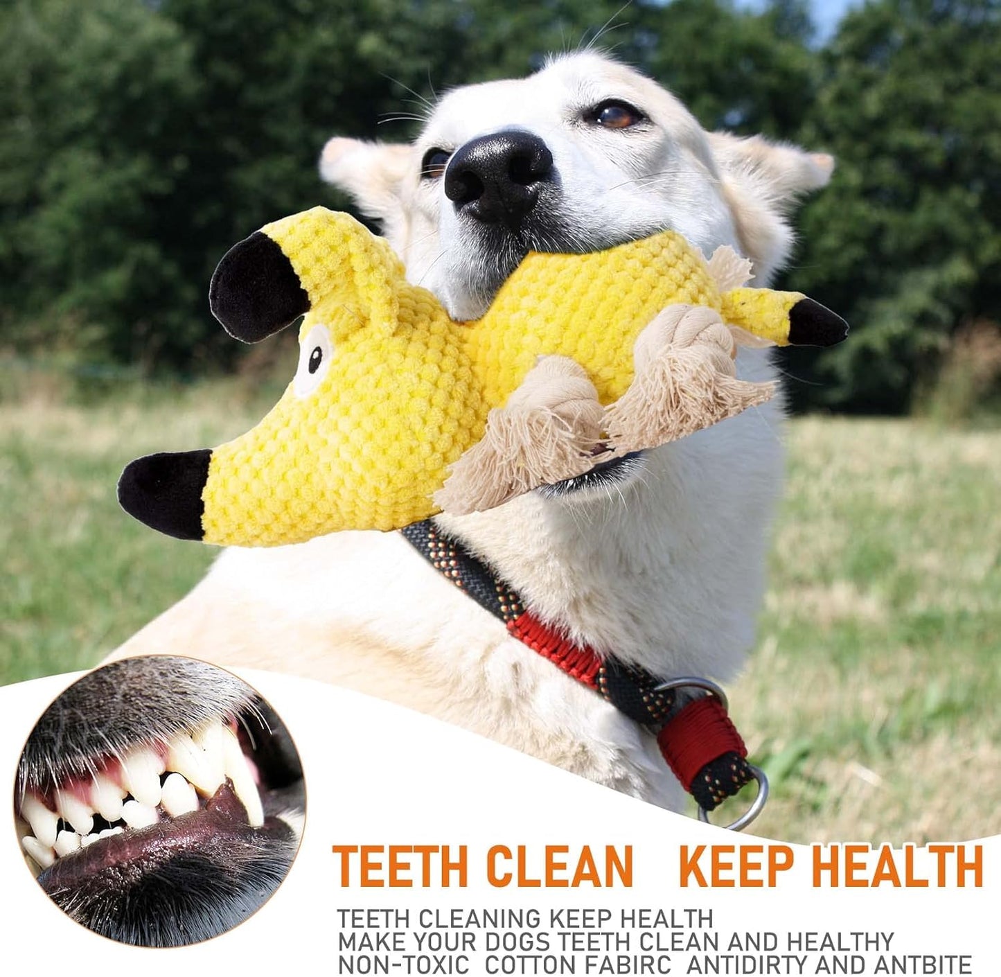 Squeaky Dog Chew Toy with Crinkle Paper - Durable Stuffed and Rope Toys for Teeth Cleaning, Ideal for Small to Medium Dogs