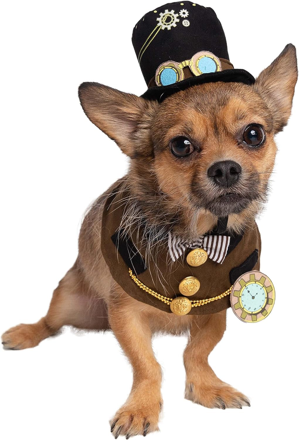 Steampunk-Inspired Costume Hat and Collar Set for Small Dogs and Cats - Perfect for Halloween, Christmas, Parties, Photoshoots, and Gifts for Pet Lovers