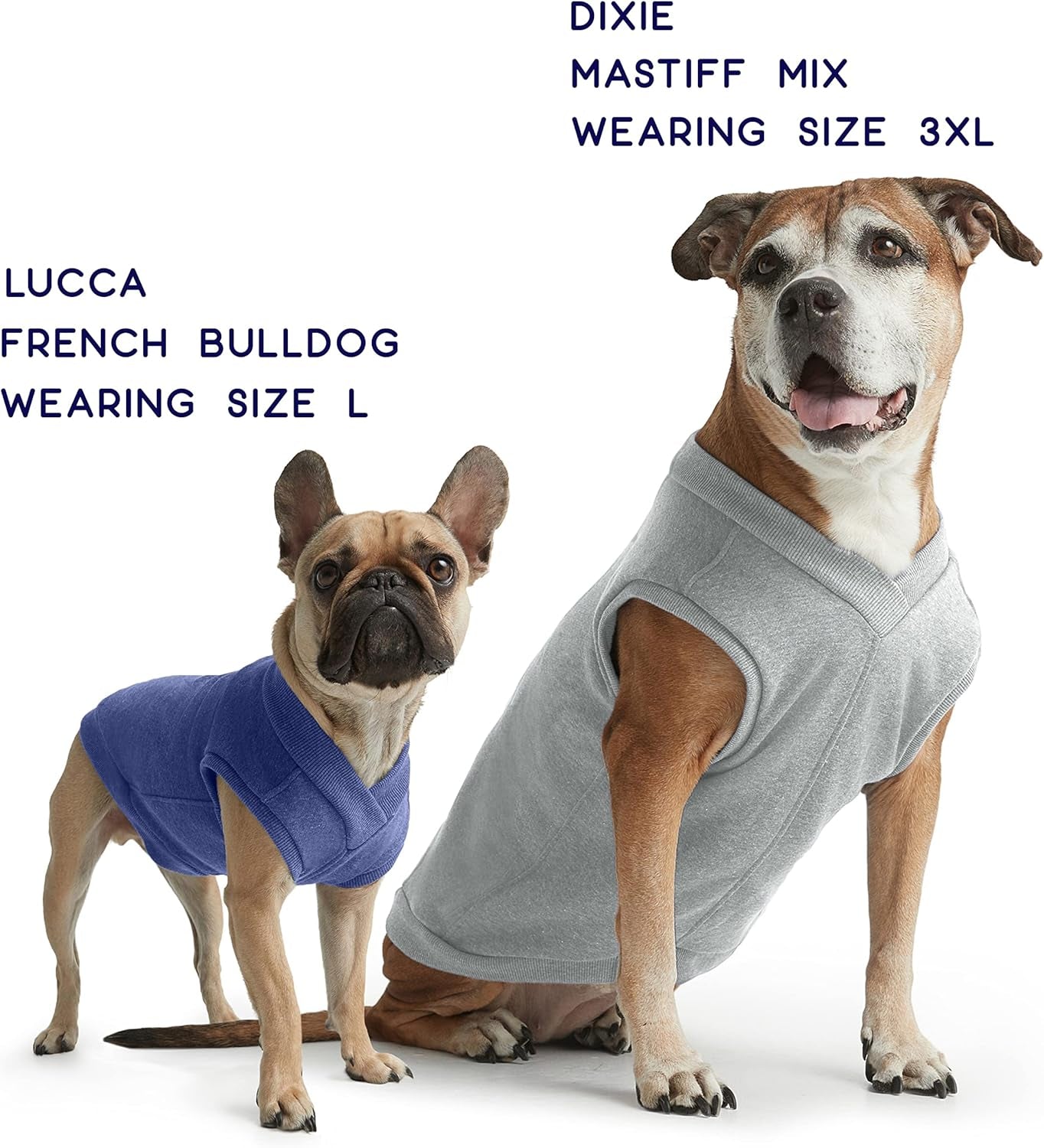 Cozy Stretch Cotton Dog Sweatshirt Vest - Perfect Fit for Small, Medium & Large Dogs (Medium, Royal Blue)
