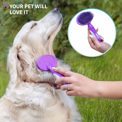 Poodle Pet Round Soft Bristle Grooming Brush for Dogs and Cats - Purple