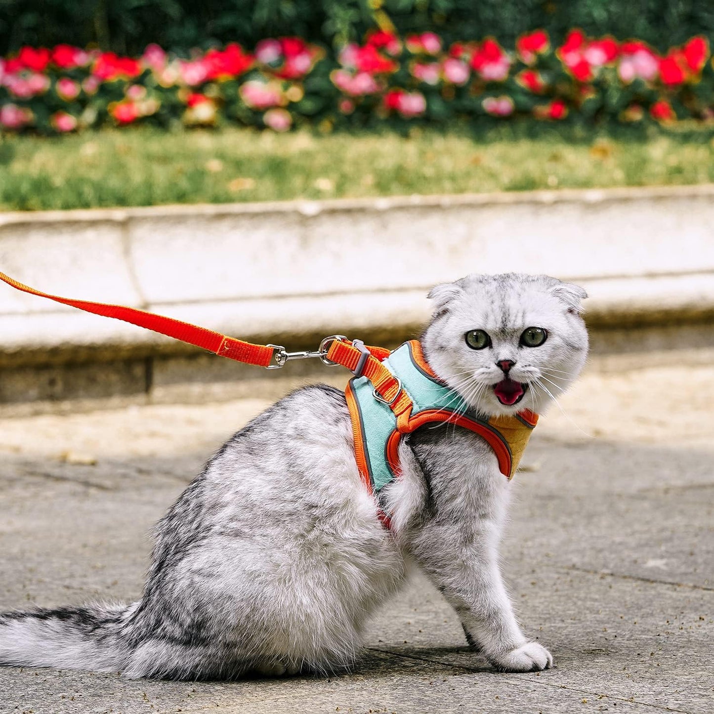 Cat Harness, Leash, and Collar Set - Escape-Proof Vest for Safe Walking with Reflective Strap and Bell, Suitable for Kittens, Puppies, and Rabbits