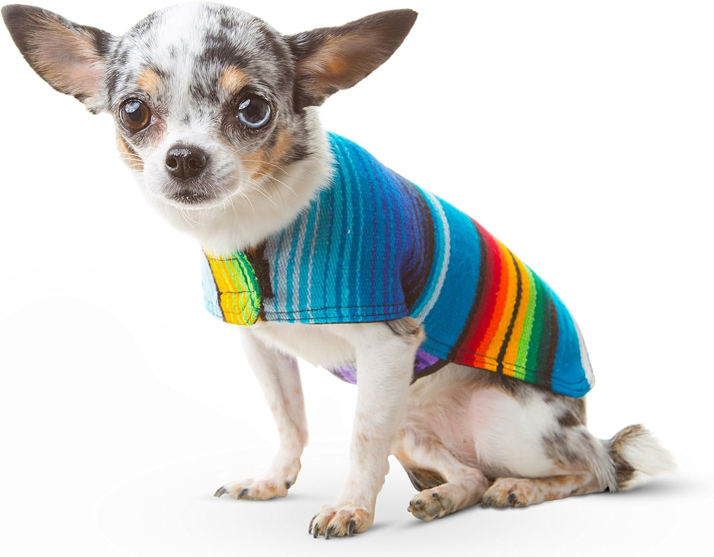 Stylish Handcrafted Dog Poncho - Authentic Mexican Blanket in Blue, XXS