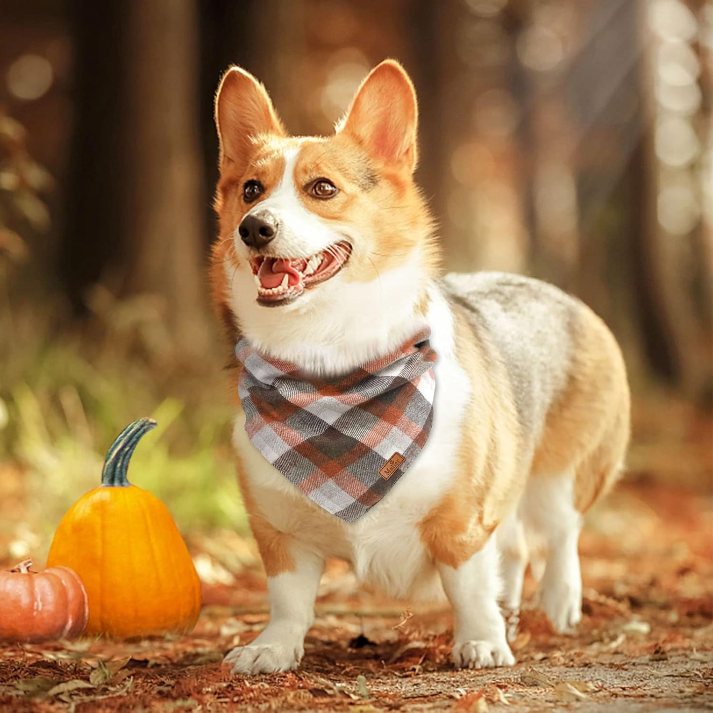2 Pack Thanksgiving Plaid Dog Bandanas, Fall & Holiday Orange Dog Scarves with Halloween Design, Reversible Pet Bib Accessory for Small and Large Dogs