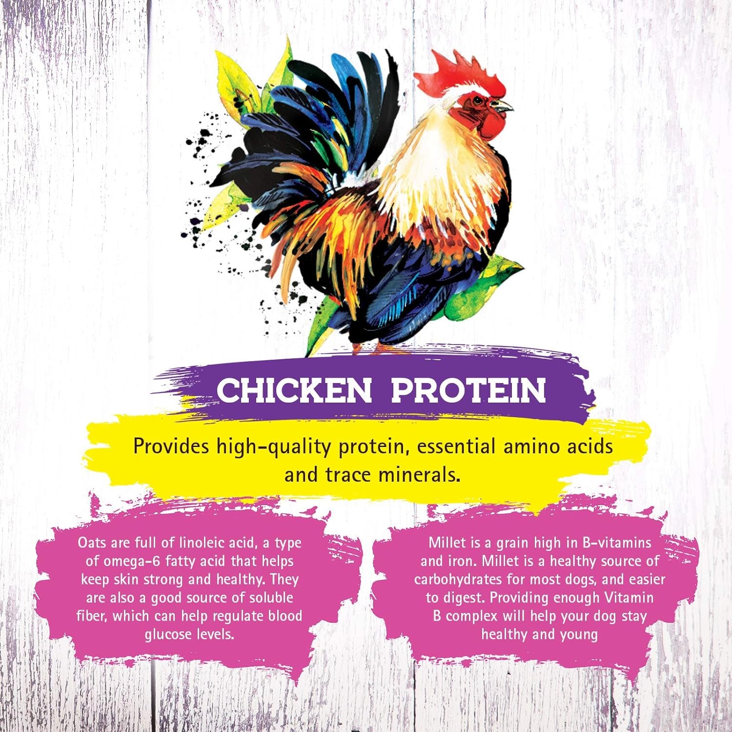 Dry Cat Food with Chicken Recipe – Complete and Balanced Formula – Meat-First, Legume-Free – 4 lb Bag