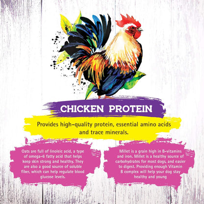 Dry Cat Food with Chicken Recipe – Complete and Balanced Formula – Meat-First, Legume-Free – 4 lb Bag