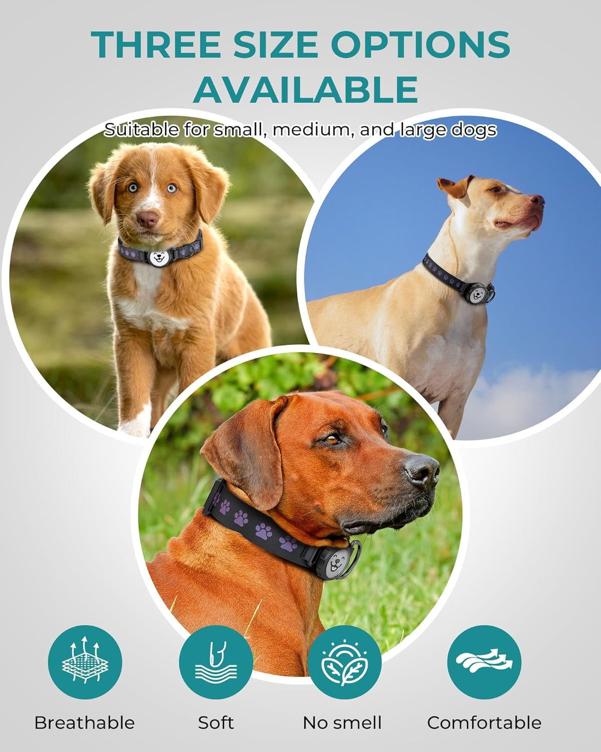Airtag-Compatible Dog Collar with IP67 Waterproof and Reflective Features, Adjustable for Medium and Large Dogs, Includes Twist-Lock Holder and Night Glow (M, 11.8"-15.9", Black)