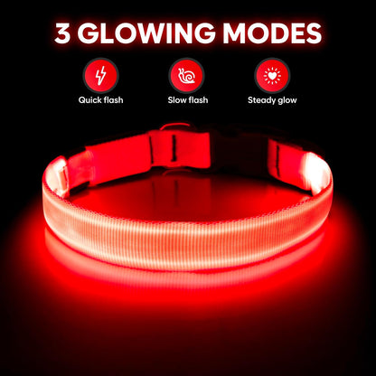 USB Rechargeable LED Dog Collar - Adjustable Glow-in-the-Dark Pet Collar for Nighttime Walks (Red, Medium)